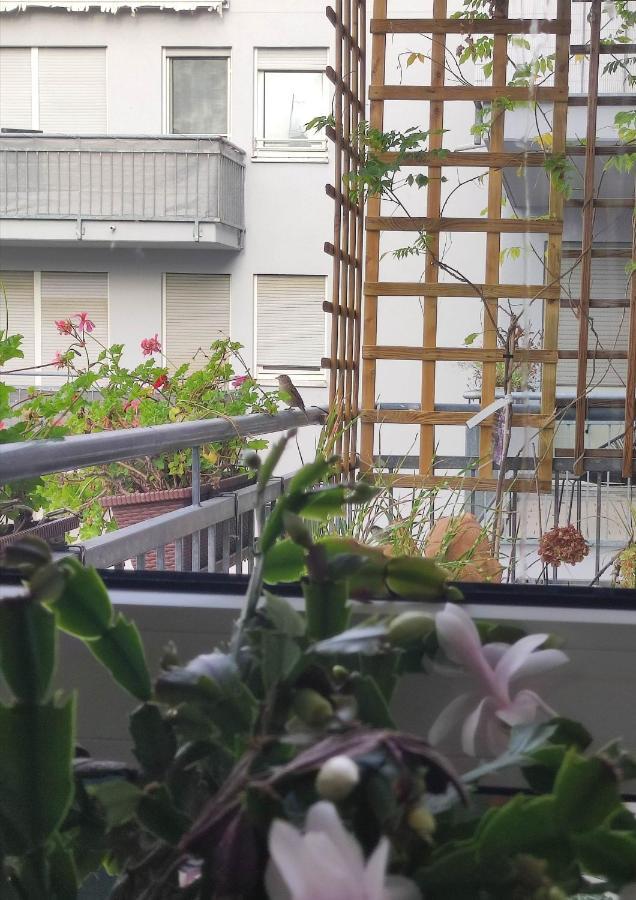 Grosse Fuer Gruppe Apartment